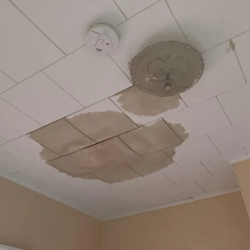 Ceiling Water Damage Repair in Bradford County, FL